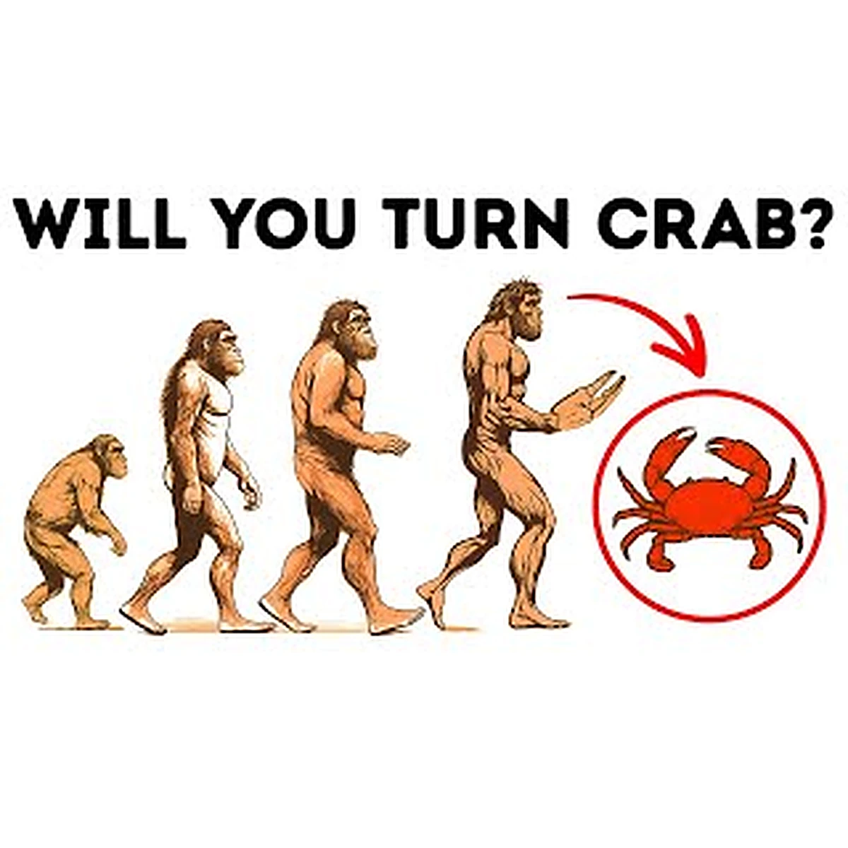 An illustration of human evolution ending in a figure with a crab claw, captioned Will you turn crab?